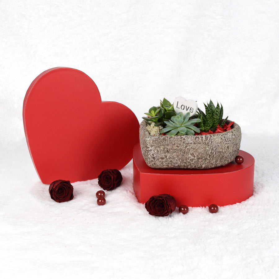 Valentine's Day Heart Succulent Trio - Blooms Canada - Canada delivery
