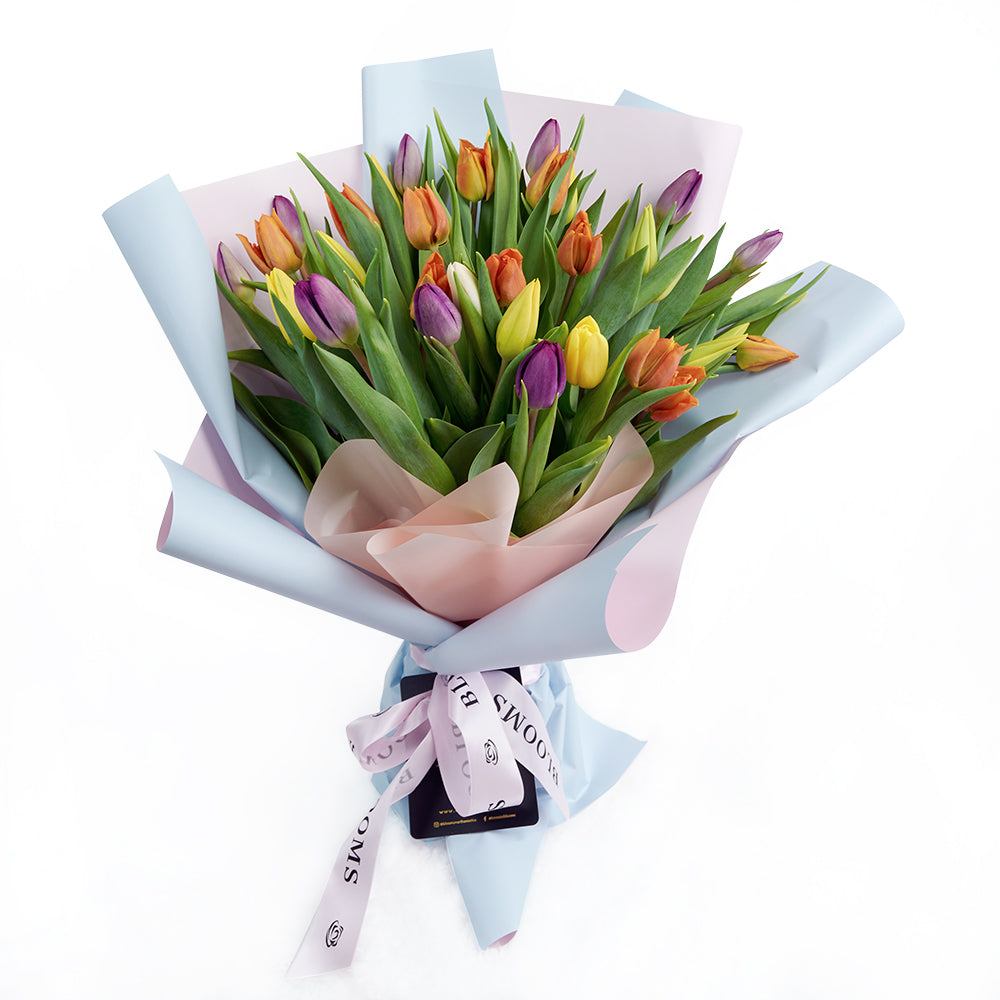 Encapsulated Elegance Tulip Bouquet, multi-coloured selection of tulips in a floral wrap with a designer ribbon, Flower Gifts from Blooms Canada - Same Day Canada Delivery.