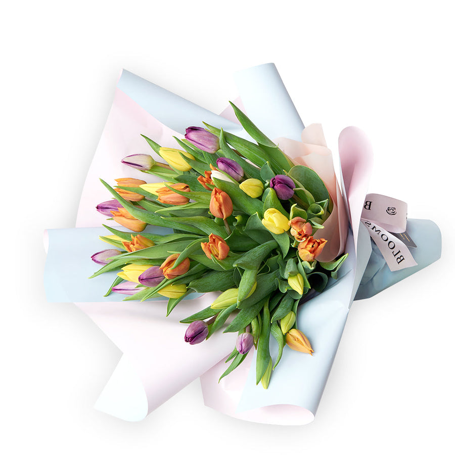 Encapsulated Elegance Tulip Bouquet, multi-coloured selection of tulips in a floral wrap with a designer ribbon, Flower Gifts from Blooms Canada - Same Day Canada Delivery.
