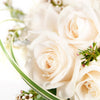Exceptional White Rose Arrangement – Rose Gifts – Blooms Canada delivery