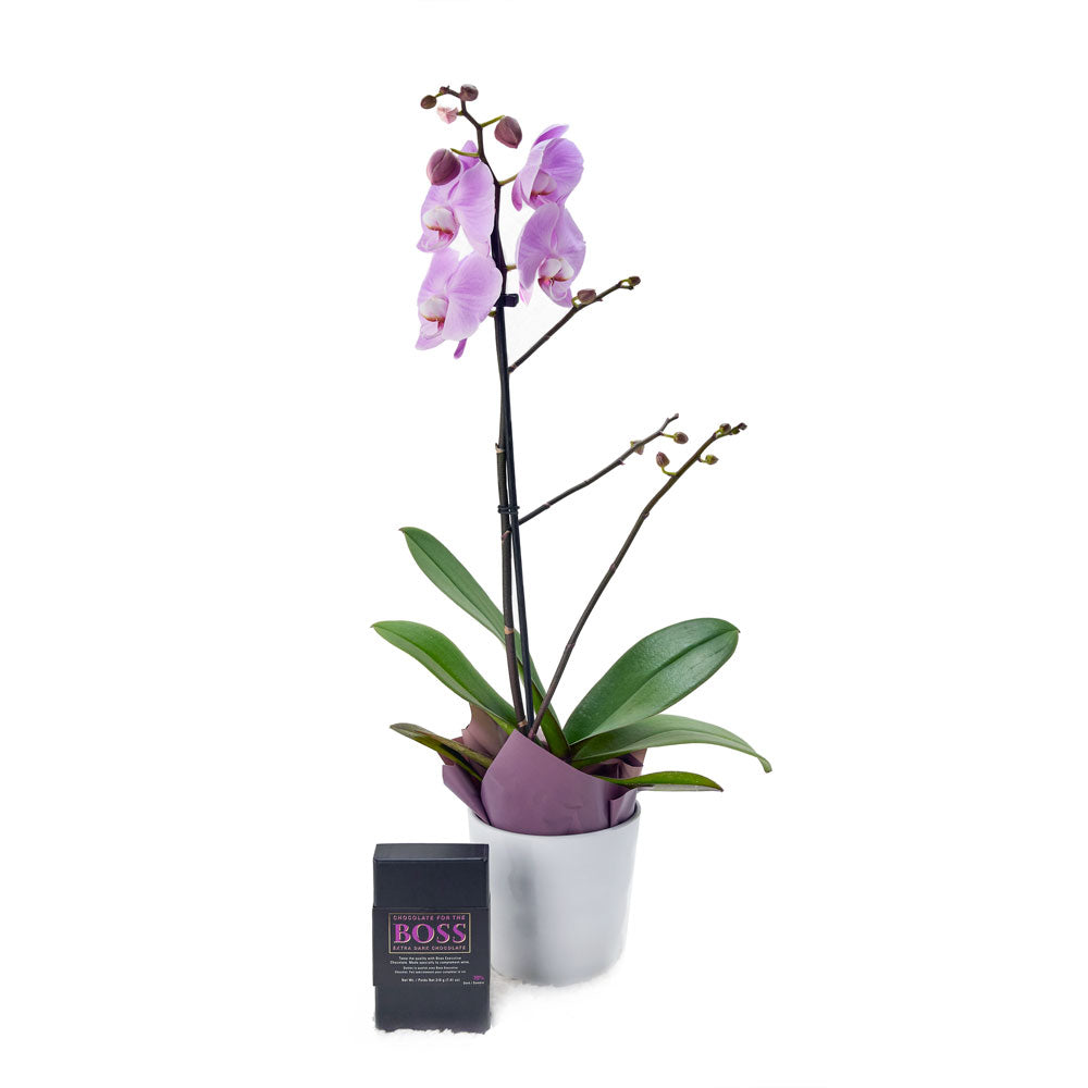 Floral Treasures Flowers Chocolate Gift – Canada Blooms - Canada Delivery