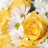 Floral Fantasy Daisy Bouquet - Floral Gift - Same Day Blooms Canada Delivery