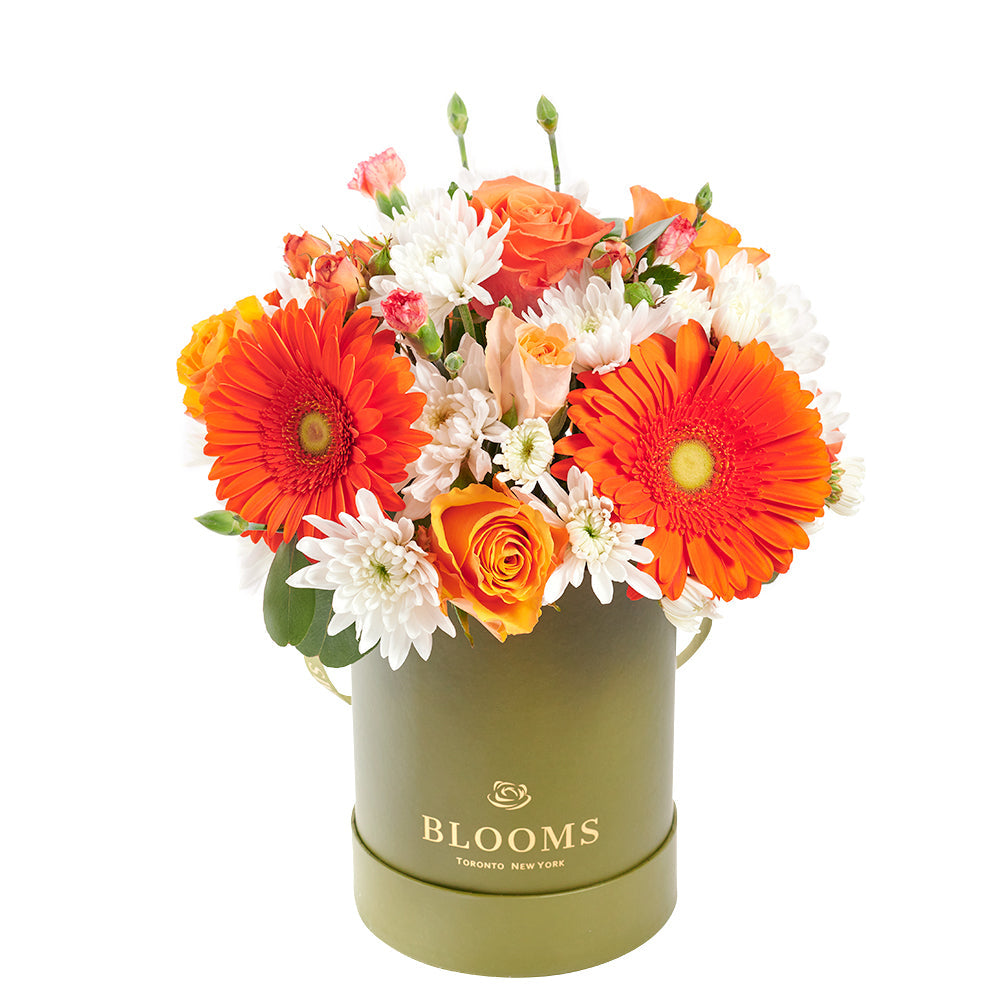 Forever Young Daisy Box - Mix Flower Hat Box Gift – Canada Blooms - Canada Delivery