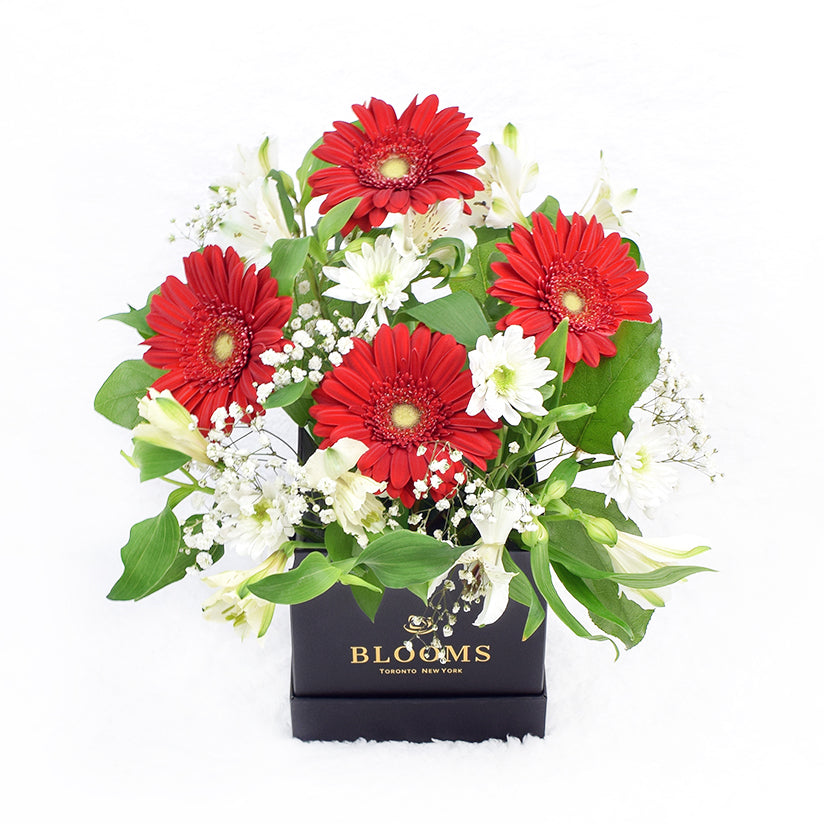 Fresh As a Daisy Gift Box – Canada Blooms - Canada Delivery