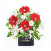Fresh As a Daisy Gift Box, Blooms Canada Delivery