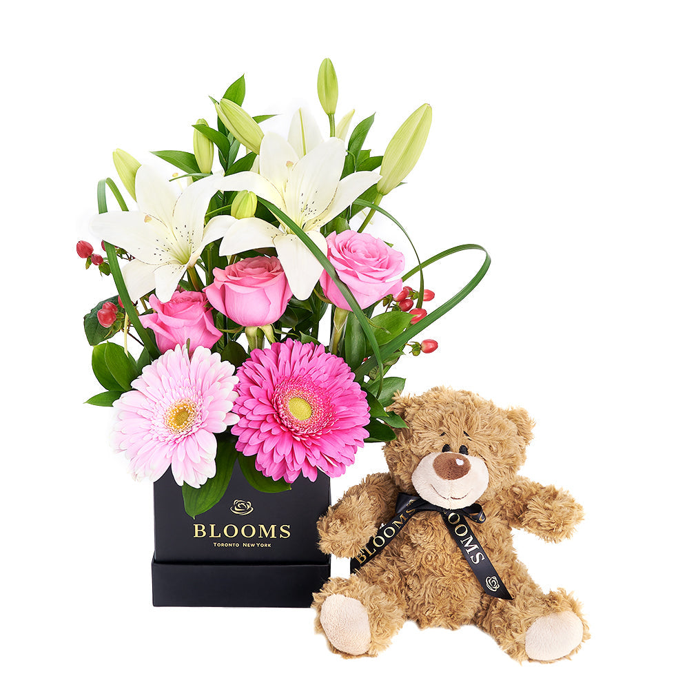 Gerbera Floral Arrangement & Bear Gift Set, gerbera, roses, lilies, hypericum berries, and greens in a black square hat box, adorable plush bear, Floral Gifts from Canada Blooms - Canada Delivery