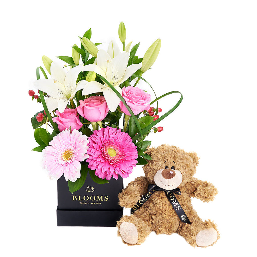 Gerbera Floral Arrangement & Bear Gift Set, gerbera, roses, lilies, hypericum berries, and greens in a black square hat box, adorable plush bear, Floral Gifts from Blooms Canada - Same Day Canada Delivery.