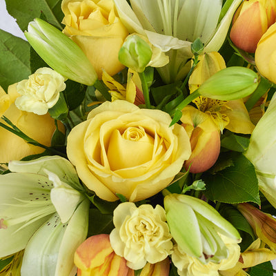 Blooms Canada Same Day Flower Delivery - Canada Flower Gifts - Gold & Cream mixed floral arrangement.