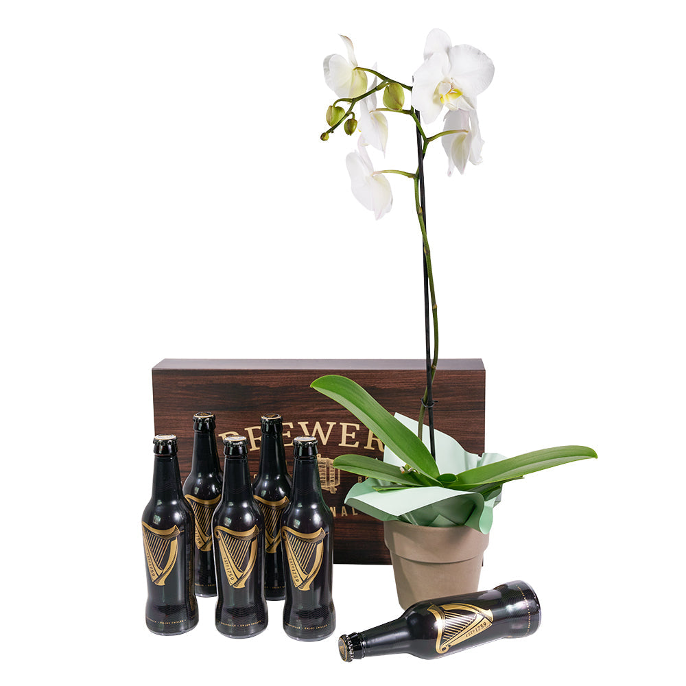 Guinness beers and white orchid gift – Canada Blooms - Canada Delivery
