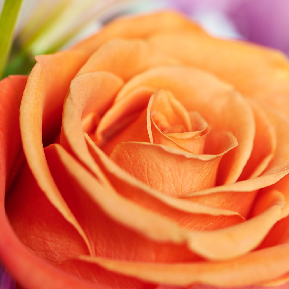 Heavenly Scents Flowers & Candle Gift – Canada Blooms - Canada Delivery