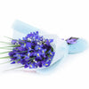 Lavish Lavender Iris Bouquet, violet irises and baby’s breath gathered in a floral wrap tied with designer ribbon, Flower Gifts from Blooms Canada - Same Day Canada Delivery.