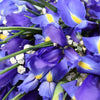 Lavish Lavender Iris Bouquet, violet irises and baby’s breath gathered in a floral wrap tied with designer ribbon, Flower Gifts from Blooms Canada - Same Day Canada Delivery.
