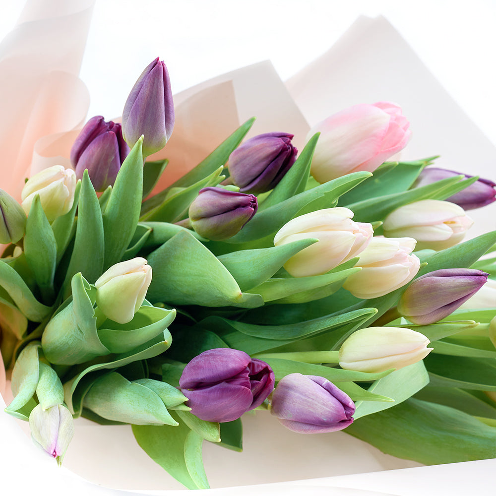 Blooms Canada Same Day Flower Delivery - Canada Flower Gifts - Lilac Tulip Bouquet