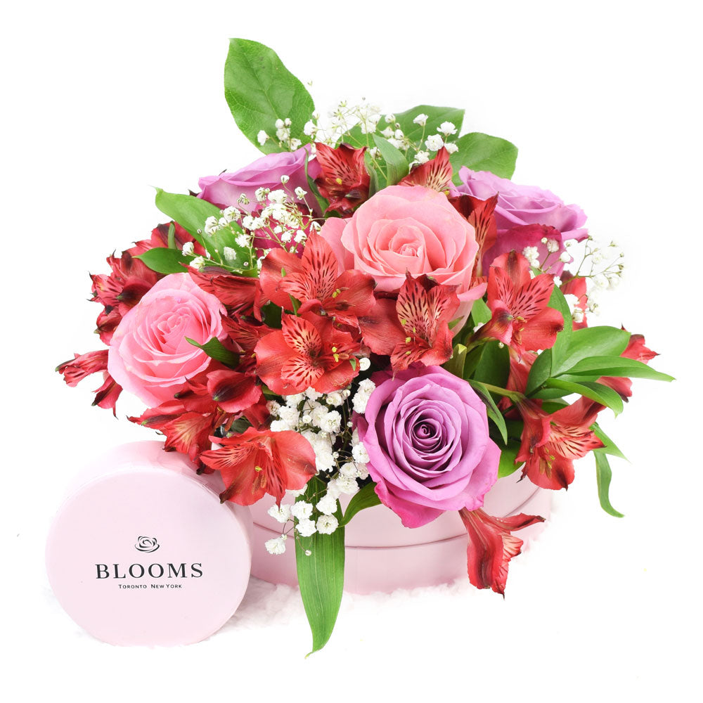 Livewire Lilies Chocolate & Flower Gift, Blooms Canada Delivery