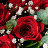 Love Like This Rose Gift Box, bouquet of a dozen red roses, a bottle of sparkling wine, eight chocolate-covered strawberries in a dish, and a spacious gift box , Flower Gifts from Blooms Canada - Same Day Canada Delivery.
