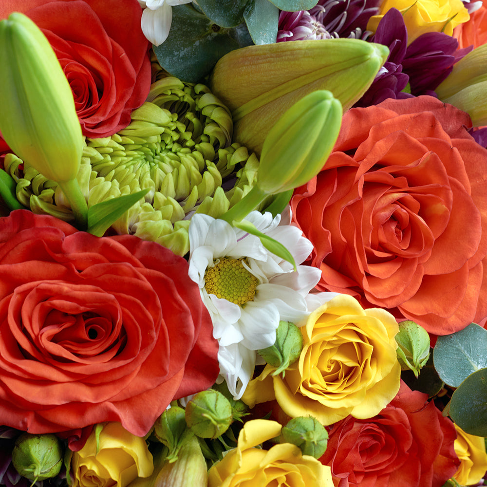 Mixed floral rose and lily bouquet – Canada Blooms - Canada Delivery
