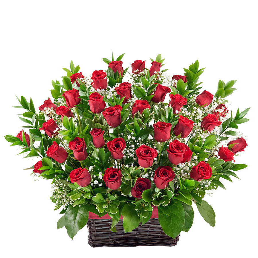 Red rose basket arrangement – Canada Blooms - Canada Delivery