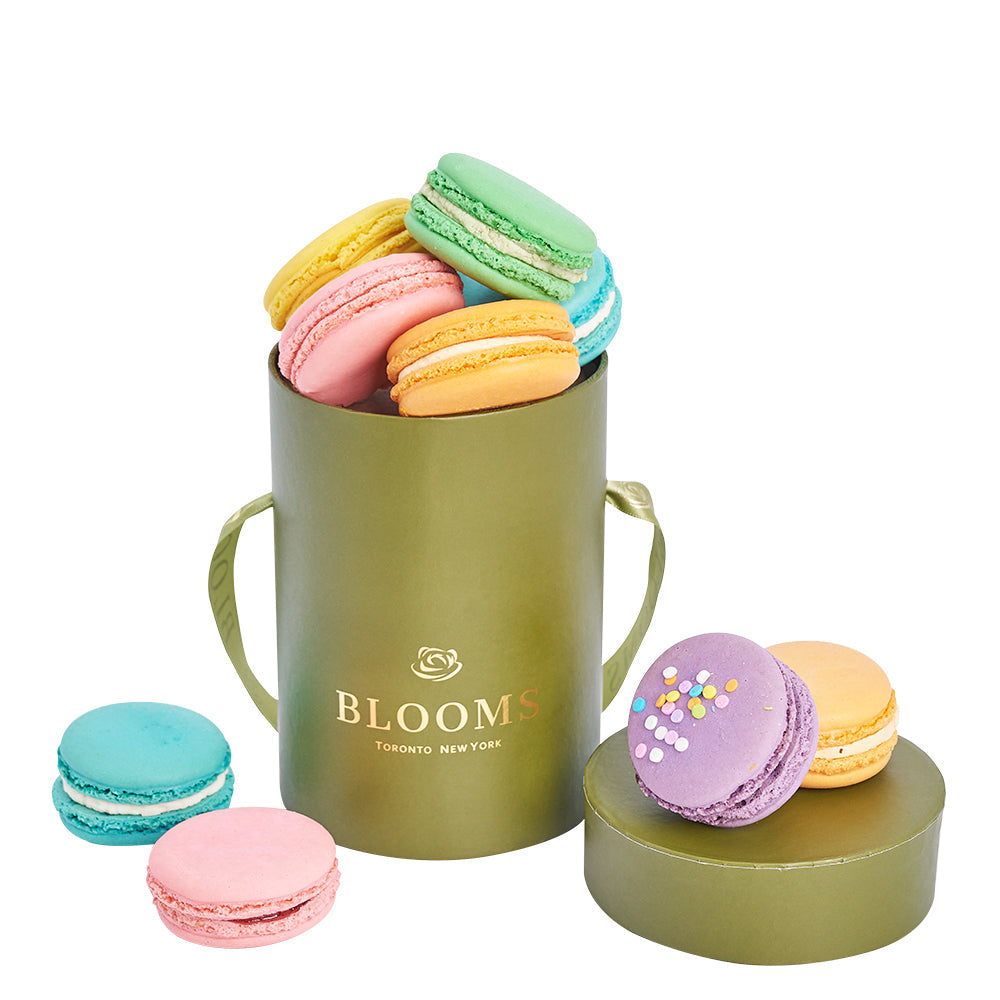 Mother’s Day 9 Macaron Box – Canada Blooms - Canada Delivery