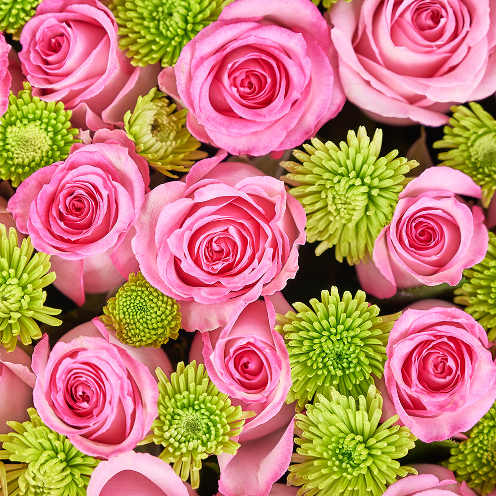 Mother’s Day Large Pink Rose Box Gift – Mother’s Day Gifts – Canada Blooms - Canada Delivery