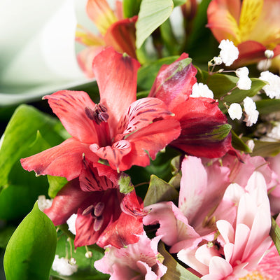 Parisian Brilliance Peruvian Lily Bouquet - Mix Floral Bouquet Gift - Same Day Toronto Delivery