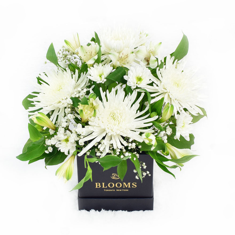 Peaceful White Mixed Floral Arrangement, spider chrysanthemums, alstroemeria, and daises with salal, ruscus and baby’s breath in a square black hat box, Flower Gifts from Canada Blooms - Canada Delivery