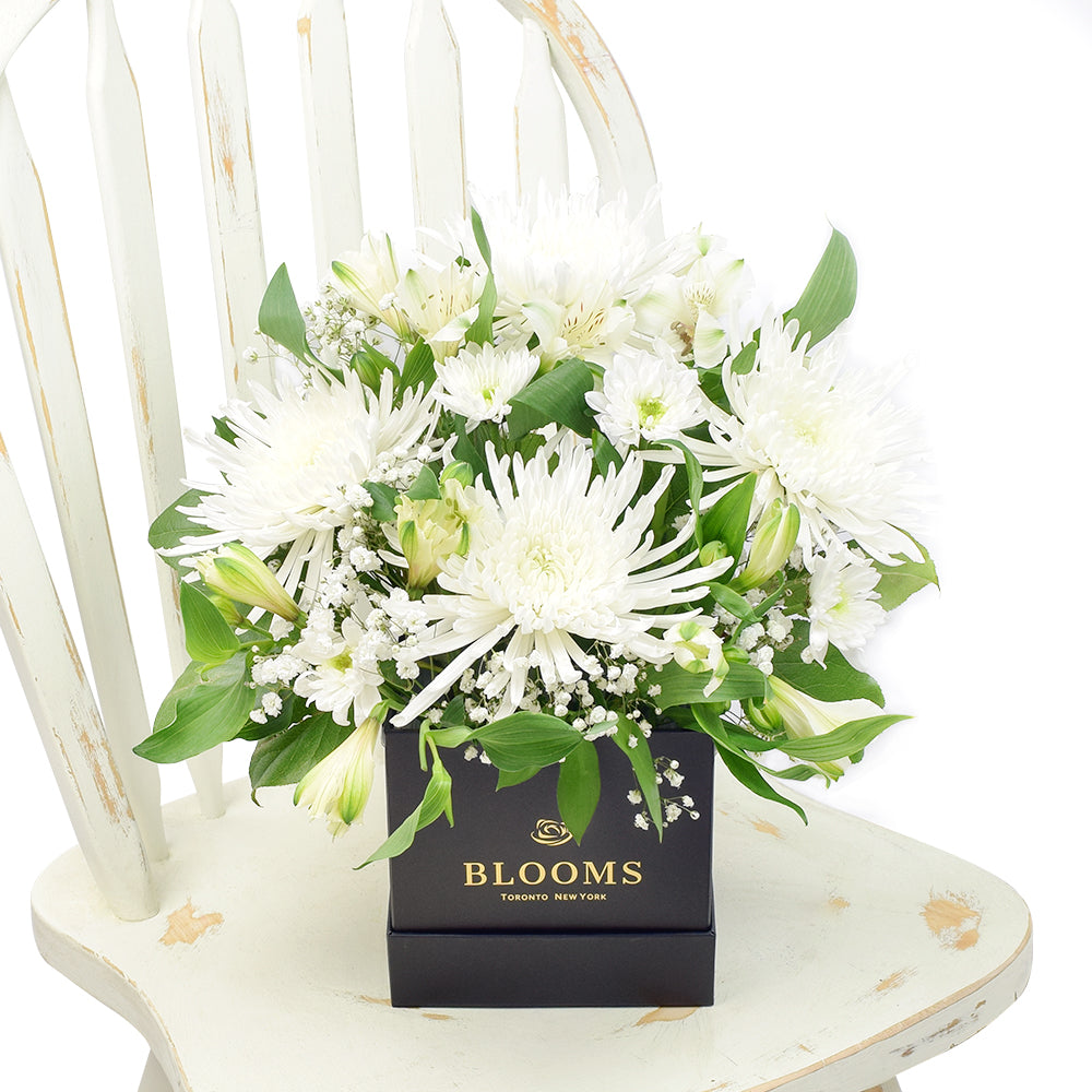 Peaceful White Mixed Floral Arrangement, spider chrysanthemums, alstroemeria, and daises with salal, ruscus and baby’s breath in a square black hat box, Flower Gifts from Canada Blooms - Canada Delivery