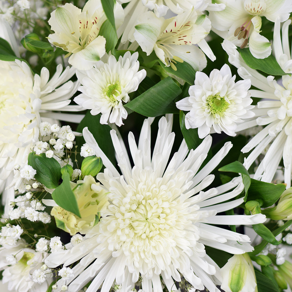 Peaceful White Mixed Floral Arrangement, spider chrysanthemums, alstroemeria, and daises with salal, ruscus and baby’s breath in a square black hat box, Flower Gifts from Canada Blooms - Canada Delivery