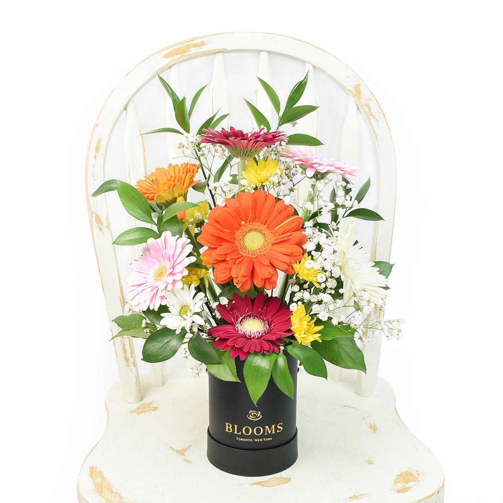 Brightly coloured mixed floral arrangement in a black box. Same Day Canada Delivery.