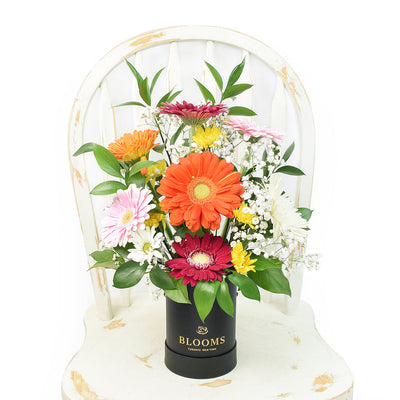 Brightly coloured mixed floral arrangement in a black box. Same Day Canada Delivery.