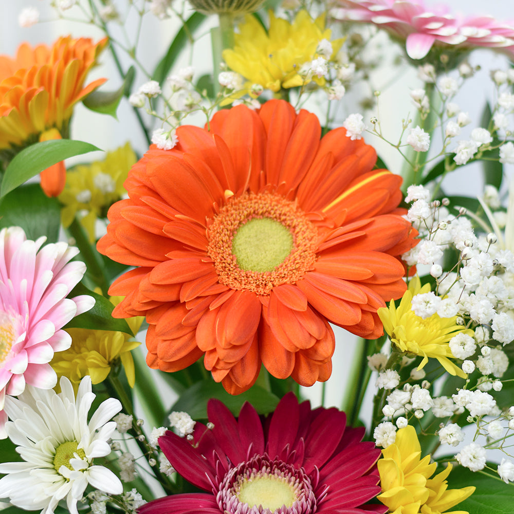 Brightly coloured mixed floral arrangement in a black box. Same Day Canada Delivery.