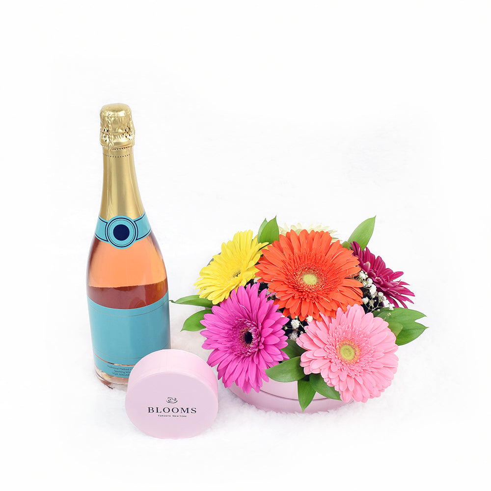 Daisy floral arrangement with champagne and chocolate truffles – Canada Blooms - Canada Delivery