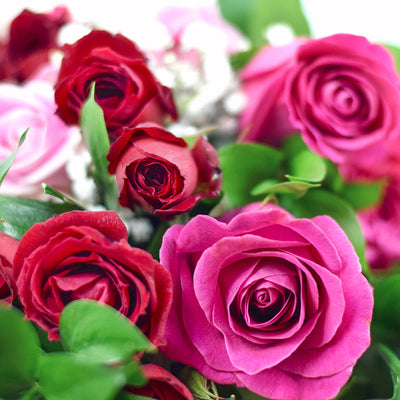 Pink and Red Roses Canada - Canada Same Day Flower Delivery - Canada Flower Gifts