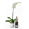 White potted orchid with a bottle of sparkling wine. Same Day Blooms Canada Delivery