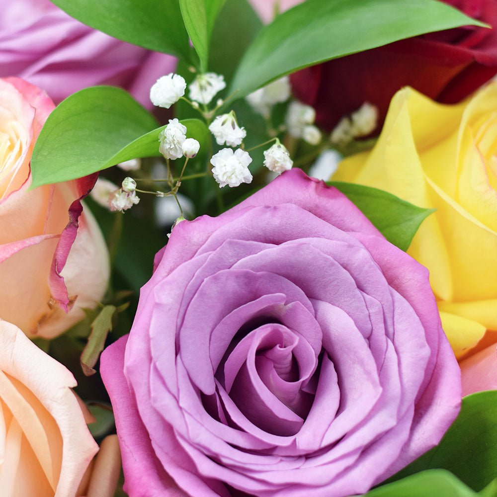 Canada Same Day Flower Delivery - Canada Flower Gifts – Canada Blooms - Canada Delivery