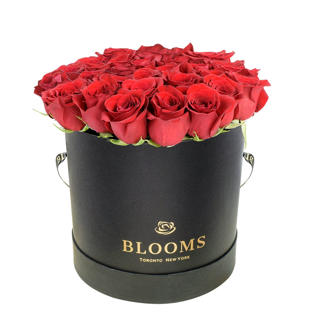 Canada Same Day Flower Delivery - Canada Flower Gifts - Rose Box Set, Blooms Canada Delivery