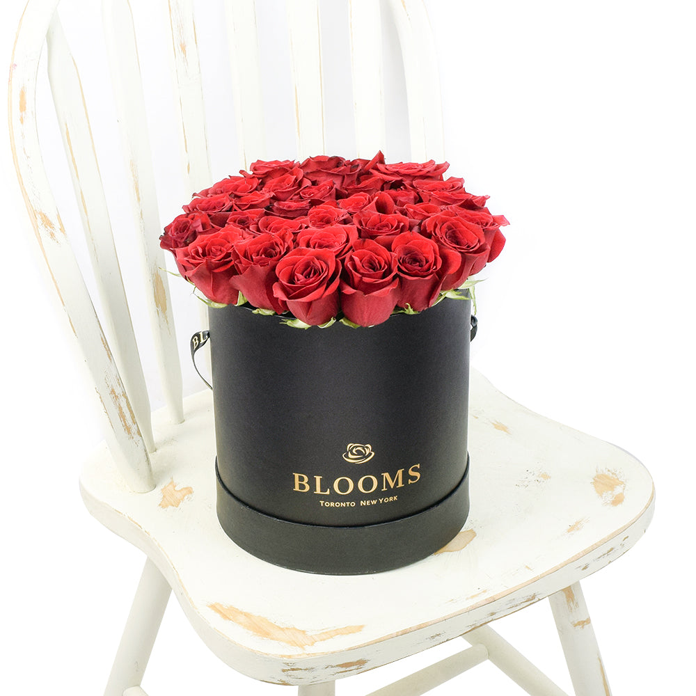Canada Same Day Flower Delivery - Canada Flower Gifts – Canada Blooms - Canada Delivery