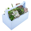 Toronto Same Day Flower Delivery - Toronto Flower Gifts - Plant Gifts - Cactus