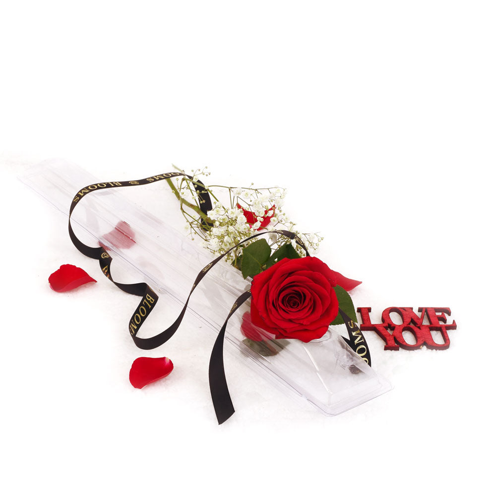 Single rose valentines gift – Canada Blooms - Canada Delivery