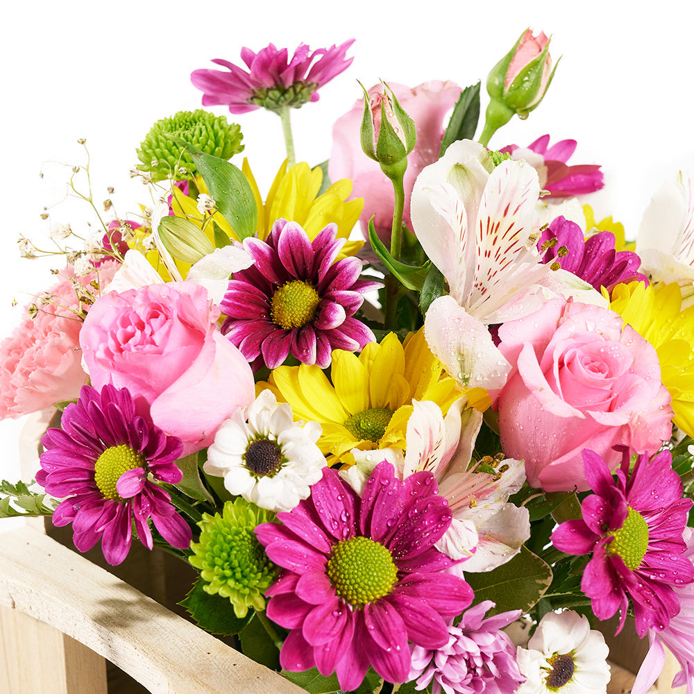 Slice of Nature Garden Chair - Mixed Flower and Chair Gift Set – Canada Blooms - Canada Delivery