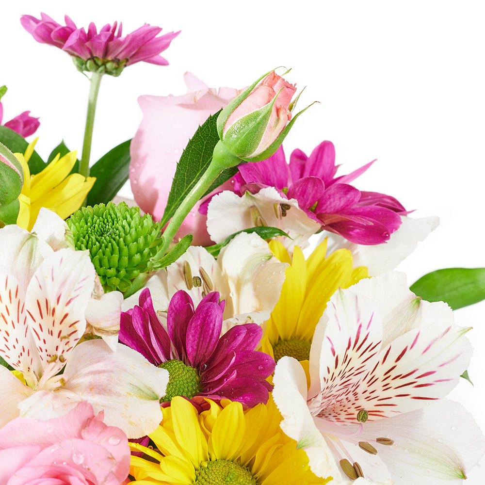 Slice of Nature Garden Chair - Mixed Flower and Chair Gift Set – Canada Blooms - Canada Delivery