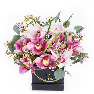 Softly Pink Orchid Box Arrangement – Orchid Gifts – Blooms Canada delivery
