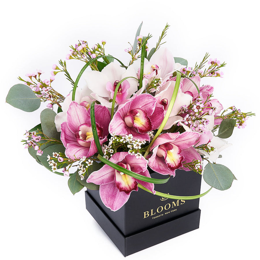 Softly Pink Orchid Box Arrangement