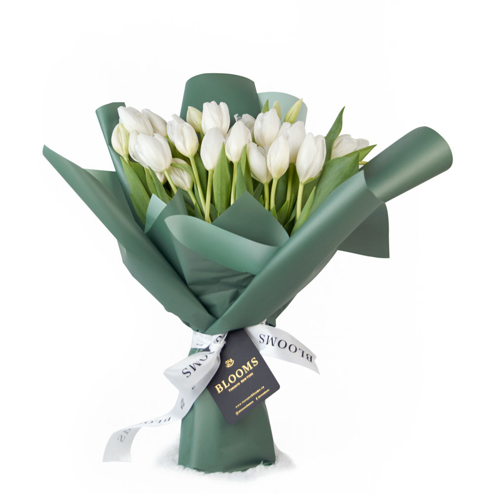 Spring Scents Tulip Bouquet, Blooms Canada Delivery