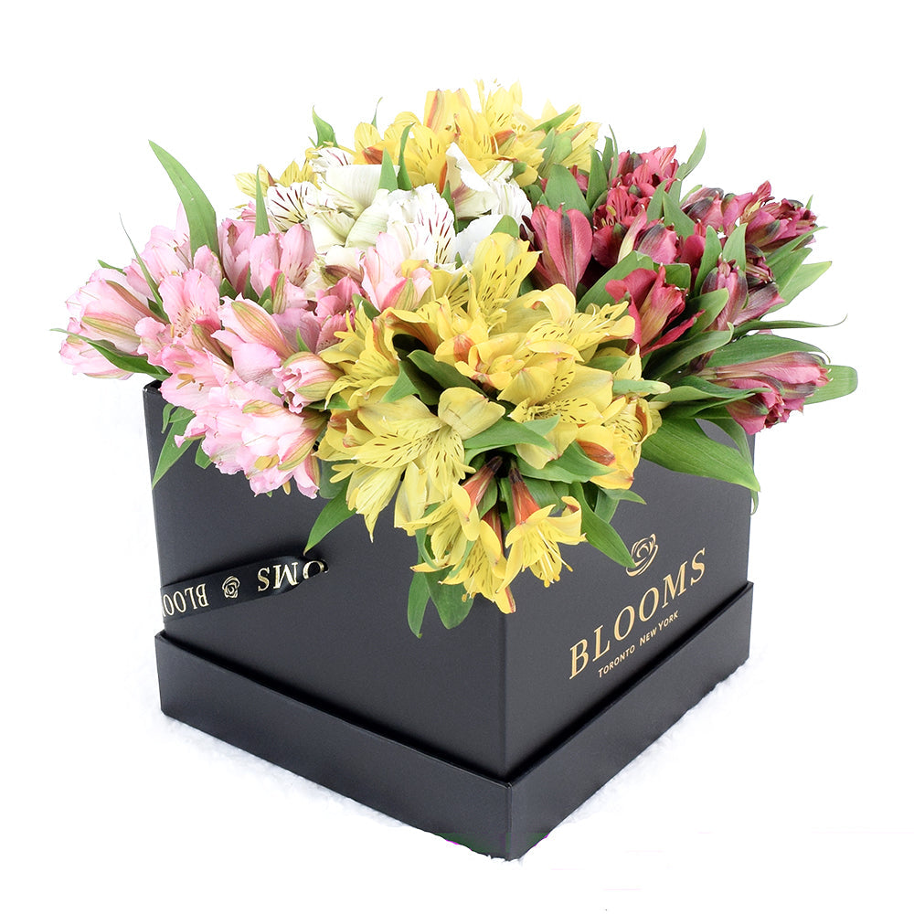 Canada Same Day Flower Delivery - Canada Flower Gifts - Lily Bouquet, Blooms Canada Delivery