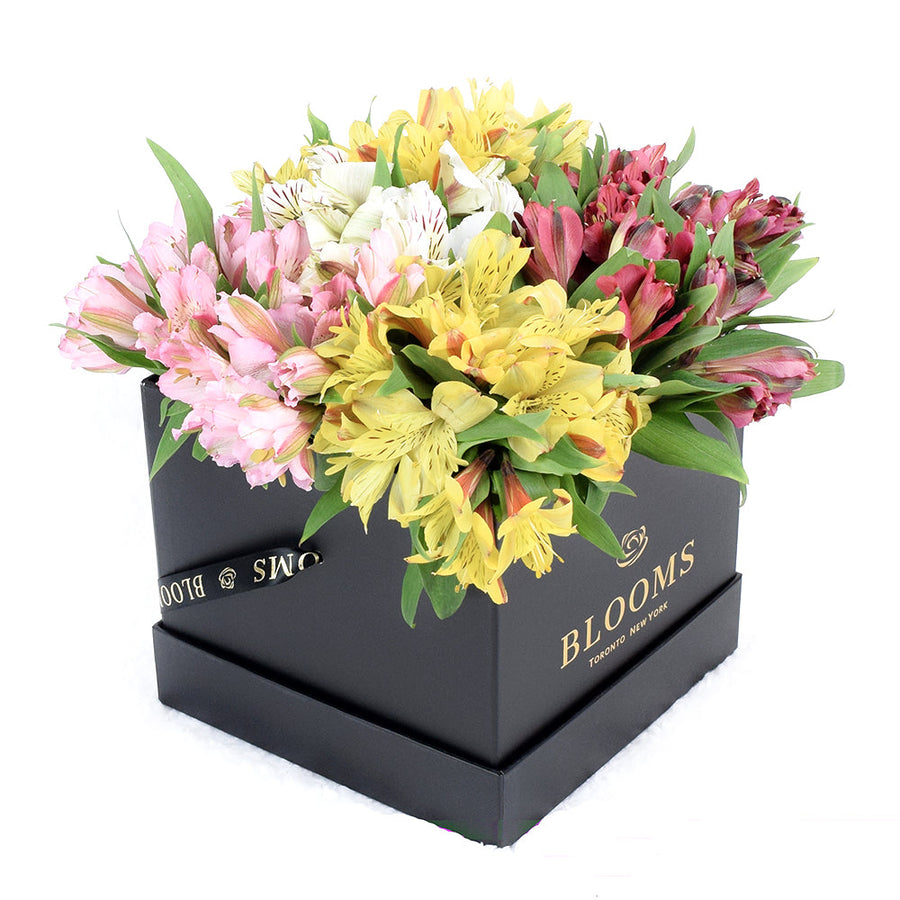 Canada Same Day Flower Delivery - Canada Flower Gifts – Canada Blooms - Canada Delivery