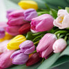 Canada Same Day Flower Delivery - Canada Flower Gifts - Pink Tulip Bouquet, Blooms Canada Delivery