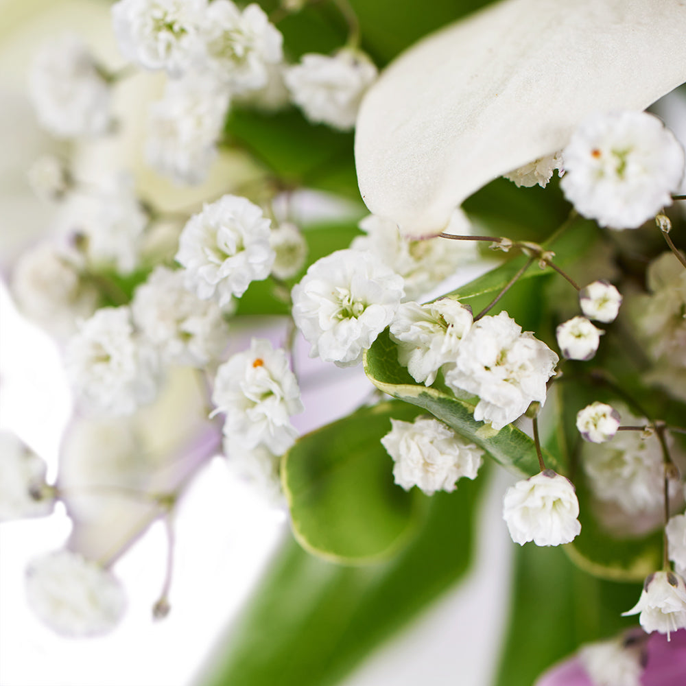 Spring Rose & Lily Arrangement – Floral Gifts. – Canada Blooms - Canada Delivery