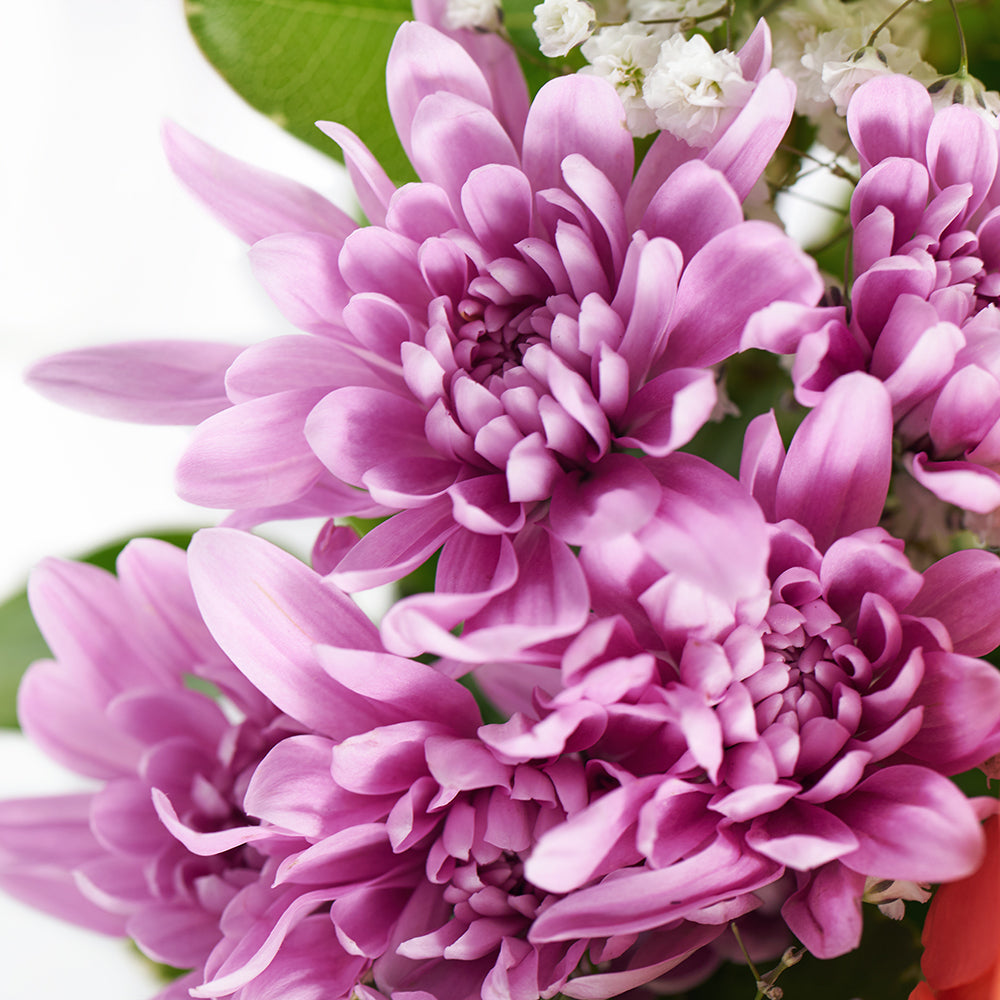 Spring Rose & Lily Arrangement – Floral Gifts. Blooms Canada-Blooms Canada delivery