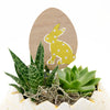 Succulent Easter Egg arrangement. Same Day Toronto Delivery