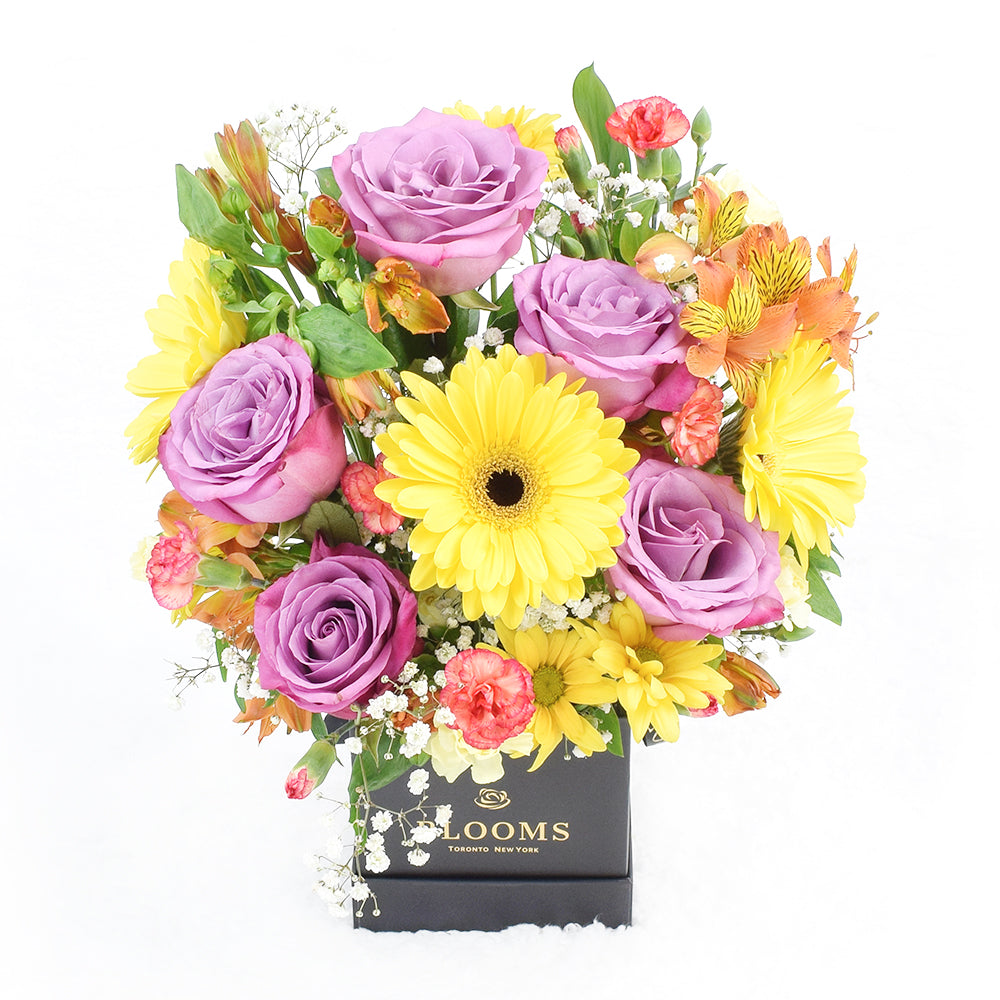 Summer Dreams Mixed Arrangement, floral gift baskets, gift baskets, flower bouquets, floral arrangement – Canada Blooms - Canada Delivery
